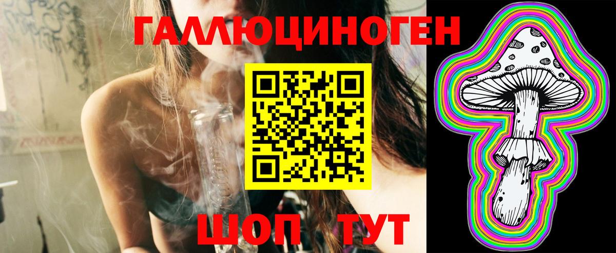 дарнет шоп  Псилоцибиновые грибы Psilocybine cubensis  Вход с VPN  Богородск 
